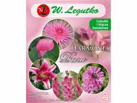 Kompozycja różowa Harmonia Barw Wiosna W.LEGUTKO