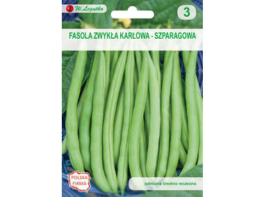 Zdjęcie: Fasola zwykła Cropper Teepee zielona 35 g LEGUTKO