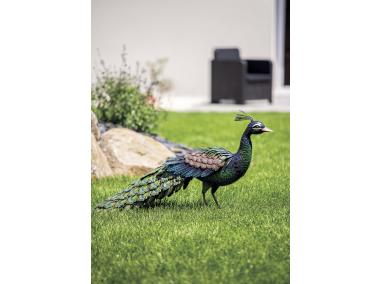 Zdjęcie: Figurka pawia ze złożonym ogonem Peacky 0,28 x 0,94 x 0,52 m NORTENE