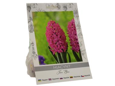 Zdjęcie: Hiacynt Jan Bos W.LEGUTKO