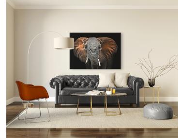 Zdjęcie: Obraz Glasspik Ani Mals3 70x100 cm Sg Gl249 Red Elephant STYLER