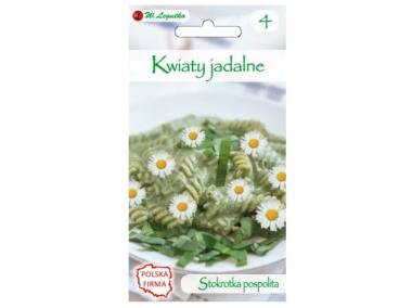 Zdjęcie: Kwiaty jadalne - Stokrotka pospolita biała 0,20 g W.LEGUTKO