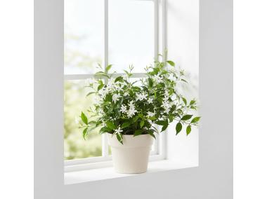 Zdjęcie: Donica Tula jumper 130 recycled, kremowy LAMELA