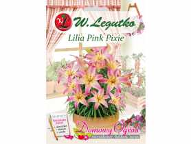 Lilia Pink Pixie różowa W.LEGUTKO