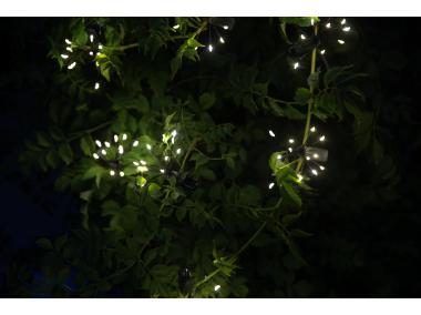 Zdjęcie: Girlanda solarna z klipsami Starlight VERDENIA