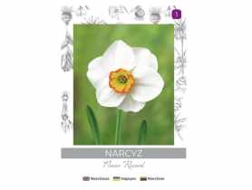 Narcyz Flower Record biało-żółty 3 sztuki W.LEGUTKO