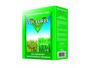 Zdjęcie: Mieszanka renowacyjna 0,9 kg VICTORIA