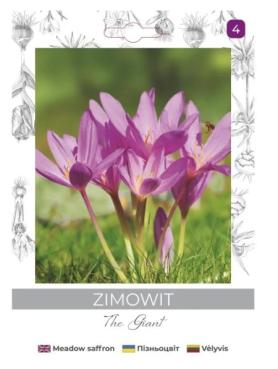 zdjęcie produktu