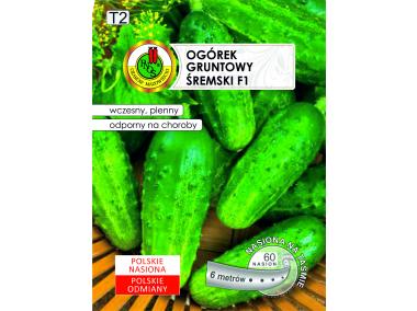 Zdjęcie: Ogórek gruntowy Śremski F1 nasiona na taśmie 6 m PNOS