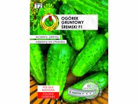 Ogórek gruntowy Śremski F1 nasiona na taśmie 6 m PNOS