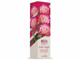Róża dwukolorowa wielkokwiatowa Double Delight GARTENLAND