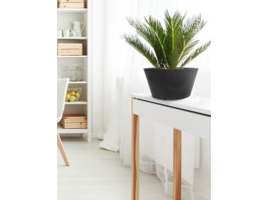 Zdjęcie: Donica Octavia Planter 15 cm czarna MULTI-DECOR