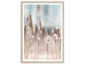 Plakat Framepic 50x70 cm Fp056 Grass STYLER
