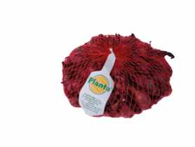 Cebula dymka Karmen 0,5 kg PLANTA