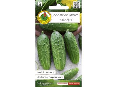 Zdjęcie: Ogórek Polan 2 g PNOS
