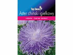 Aster chiński igiełkowy TOP DECOR