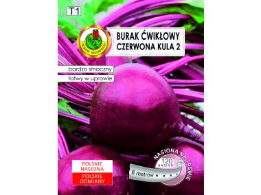 Zdjęcie: Burak ćwikłowy Czerwona kula 2, 6 m PNOS