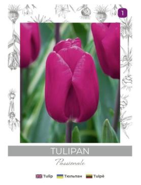 zdjęcie produktu