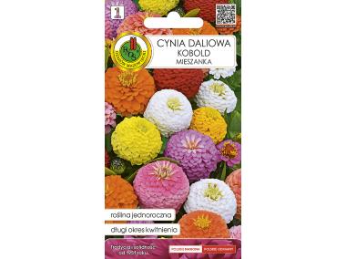 Zdjęcie: Cynia Kobold mieszana 0,5 g PNOS