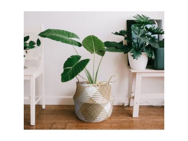 Zdjęcie: Koszyk z trawy morskiej z uchwytami 32x32x30/40 cm TIN TOURS