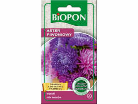 Aster wysoki piwoniowy mieszanka 1 g BIOPON