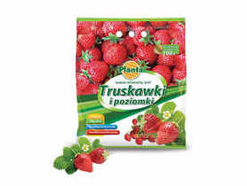Nawóz do truskawek i poziomek 3 kg PLANTA