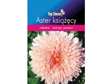 Zdjęcie: Aster książęcy TOP DECOR