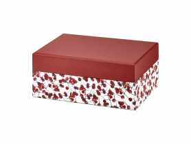 Pudełko tekturowe z lusterkiem 18x11x7,5 cm holly AMBITION