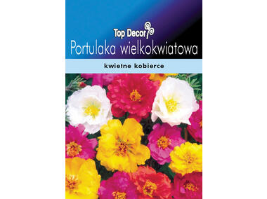 Zdjęcie: Portulaka wielkokwiatowa TOP DECOR