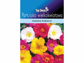 Portulaka wielkokwiatowa TOP DECOR