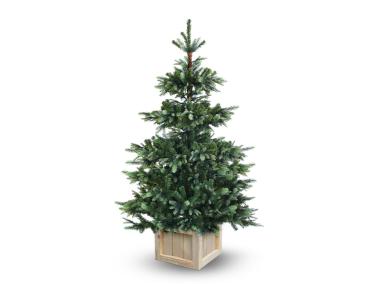 Zdjęcie: Choinka sztuczna Gaja 210 cm ADAL