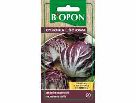 Cykoria liściowa Radicchio Palla Rosa 1,5 g BIOPON