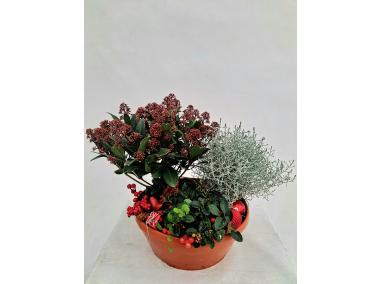 Zdjęcie: Misa dekoracyjna świąteczna 32 cm ŁAZUCCY