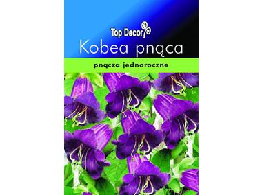 Zdjęcie: Kobea pnąca TOP DECOR
