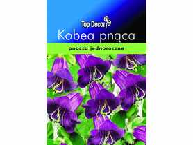 Kobea pnąca TOP DECOR
