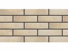 Płytka elewacyjna Retro Brick Salt 24,5x6,5 cm CERRAD