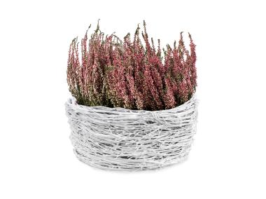 Zdjęcie: Donica ogrodowa z gałązek brzozy 34x16 cm wrzosówka biała TIN TOURS