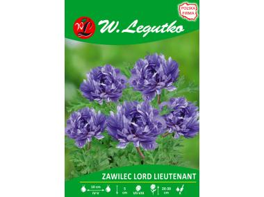 Zdjęcie: Zawilec Lord Lieutenant seria tradycyjna W.LEGUTKO