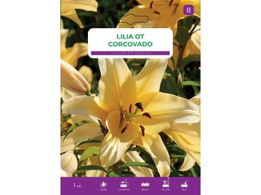 Zdjęcie: Lilia Corcovado LEGUTKO