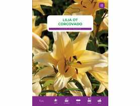 Lilia Corcovado LEGUTKO