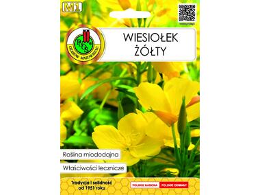 Zdjęcie: Wiesiołek żółty 0,3 g PNOS