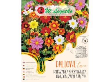 Zdjęcie: Mieszanka sprzyjająca owadom zapylającym W.LEGUTKO