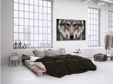 Zdjęcie: Obraz Glasspik 70x100 cm Ex632 Wolf 2 STYLER