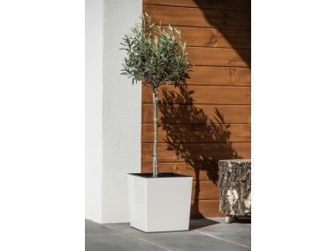 Zdjęcie: Doniczka Juka 300x300 mm biały LAMELA