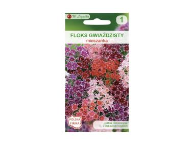 Zdjęcie: Floks gwiaździsty mieszanka nasiona tradycyjne 0.3 g W. LEGUTKO