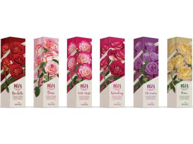 Zdjęcie: Róża wielkokwiatowa GARTENLAND