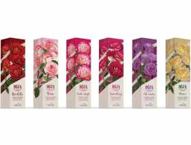 Róża wielkokwiatowa GARTENLAND