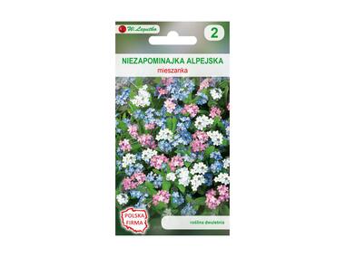 Zdjęcie: Niezapominajka alpejska Mieszanka nasiona tradycyjne 0.5 g W. LEGUTKO