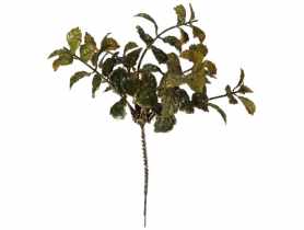 Gałązka dekoracyjna metalizowana 26 cm zielono-złota JUMI