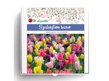 Zdjęcie: Kompozycja cebul kwiatowych Szaleństwo barw W.LEGUTKO